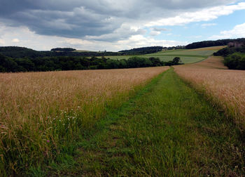 Scenic view of field against sky in region hunsrück on hiking trail traumschleife murscher eselsche