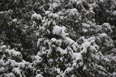 Full frame shot of snow covered land