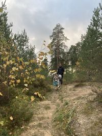 Rear view of man riding motorcycle on road amidst trees