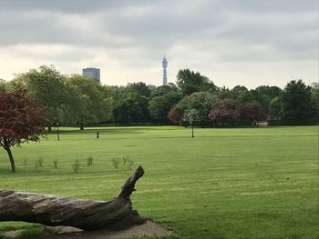 Trees on field against sky