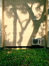 Shadow of man standing on field