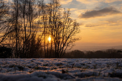 Bare trees on snow covered field against sky during sunset