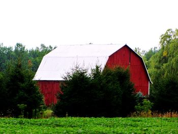 Plants growing on field