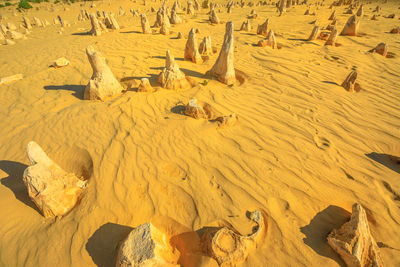 High angle view of sand dune