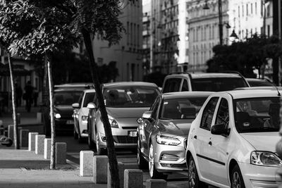 Cars on street