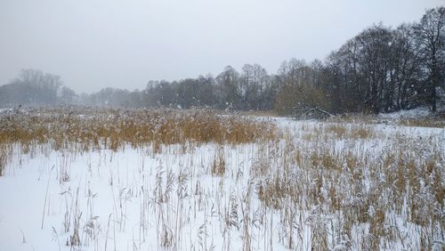 Scenic view of lake against sky during winter