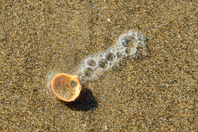 Close-up of sand on beach