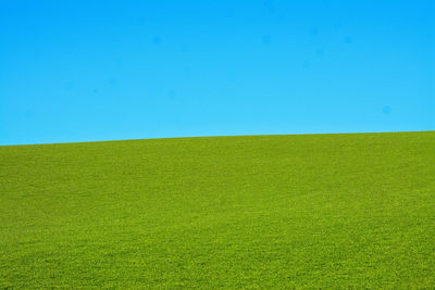 Scenic view of field against clear blue sky