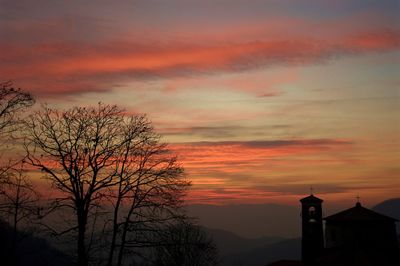 Low angle view of silhouette tree against orange sky