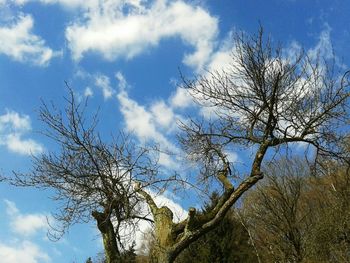 Low angle view of bare trees against cloudy sky