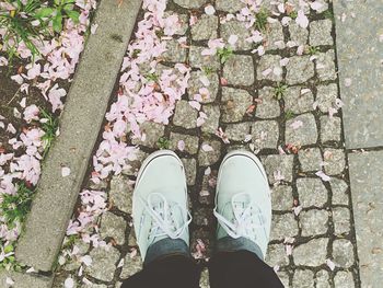 Low section of woman standing on ground