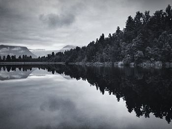 Reflection of trees in lake