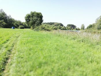 Scenic view of grassy field against clear sky