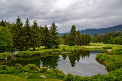 Scenic view of lake by trees against sky