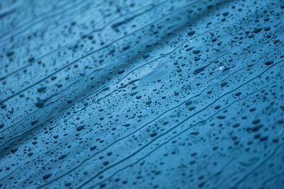 Full frame shot of raindrops on blue glass