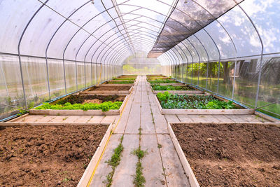 View of greenhouse