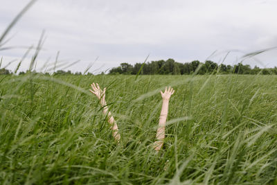 Girl with hands raised amidst grass