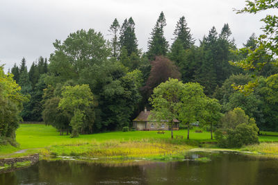 Scenic view of lake by trees against sky