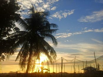 Low angle view of silhouette palm trees against sky