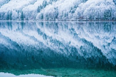 Scenic view of frozen lake against trees during winter