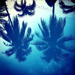 Low angle view of palm tree against sky