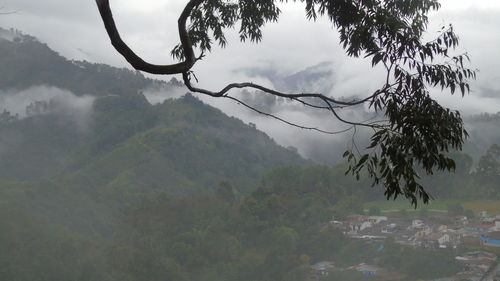 Scenic view of landscape against cloudy sky