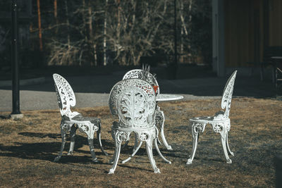 View of deer on table