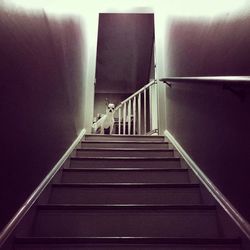 Low angle view of staircase