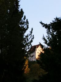 Low angle view of trees and building against sky