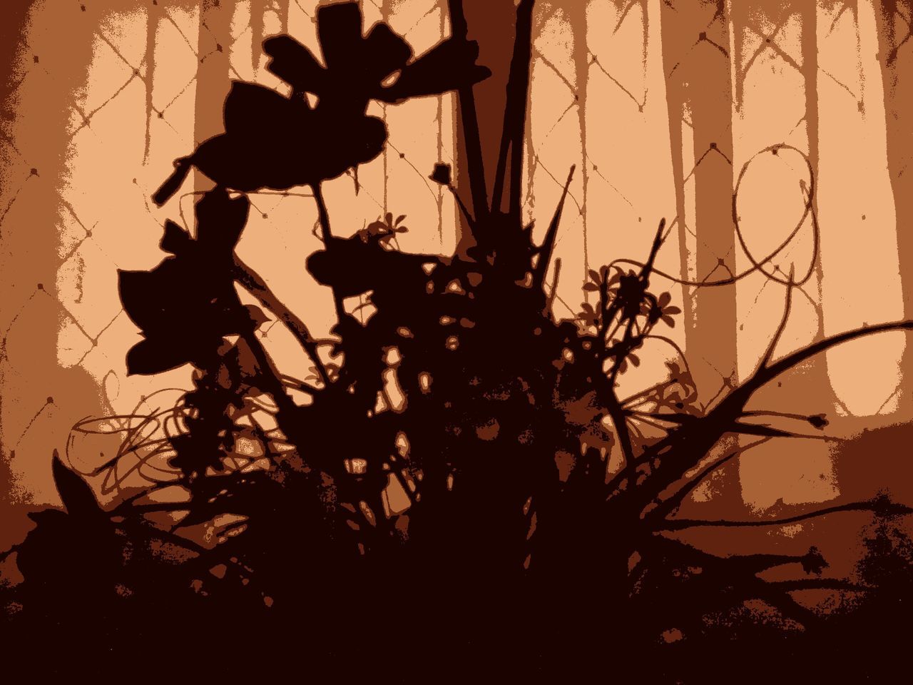 SILHOUETTE PLANTS AT SUNSET