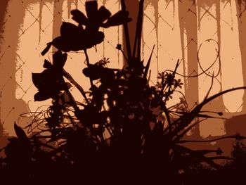 Close-up of silhouette plants against sunset