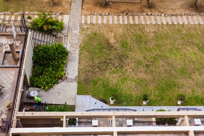 High angle view of trees and buildings in city