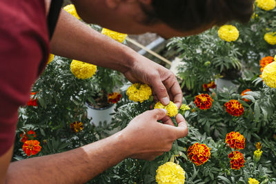 High angle view of people holding flowering plants