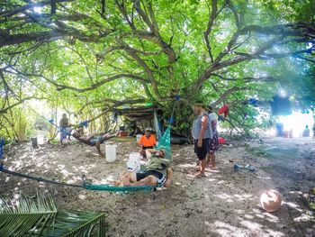 People in a tree