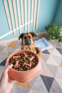pet