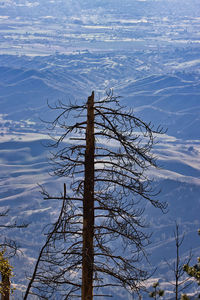 Bare tree on snow covered land against sky