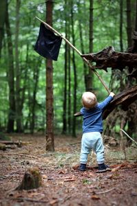 Rear view of boy in forest