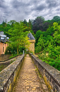 Footpath amidst trees and buildings against sky