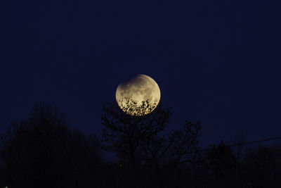 Low angle view of moon in sky at night