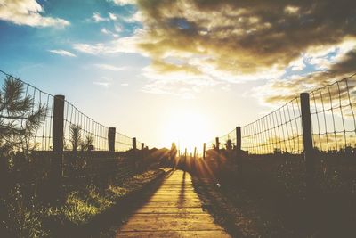 Walkway amidst plants against sky during sunset