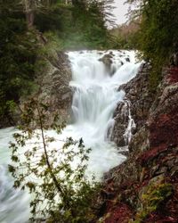 View of waterfall in forest