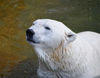 Close-up of white water