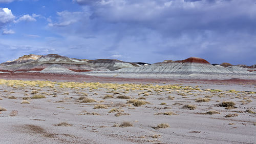 Impressive landscape at petrified forest national park, arizona.