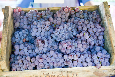 Close-up of grapes in container