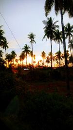 Silhouette palm trees on field against sky during sunset
