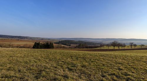 Scenic view of field against sky