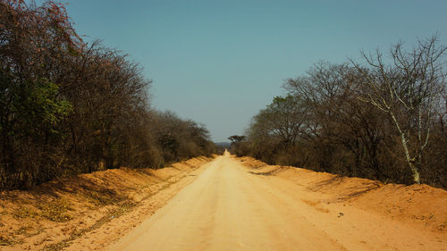 Dirt road along trees and plants against sky