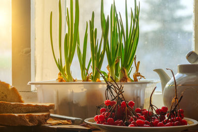 Close-up of fruits on table