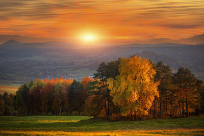 Scenic view of trees during sunset