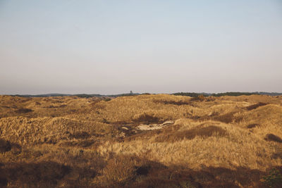 Scenic view of field against clear sky